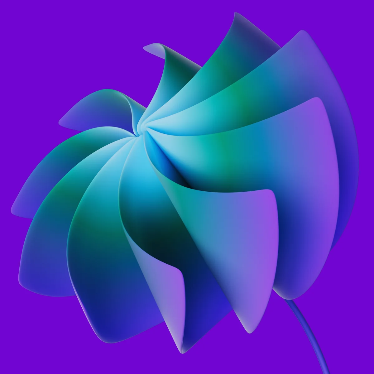 allspring_tulpe01.jpg