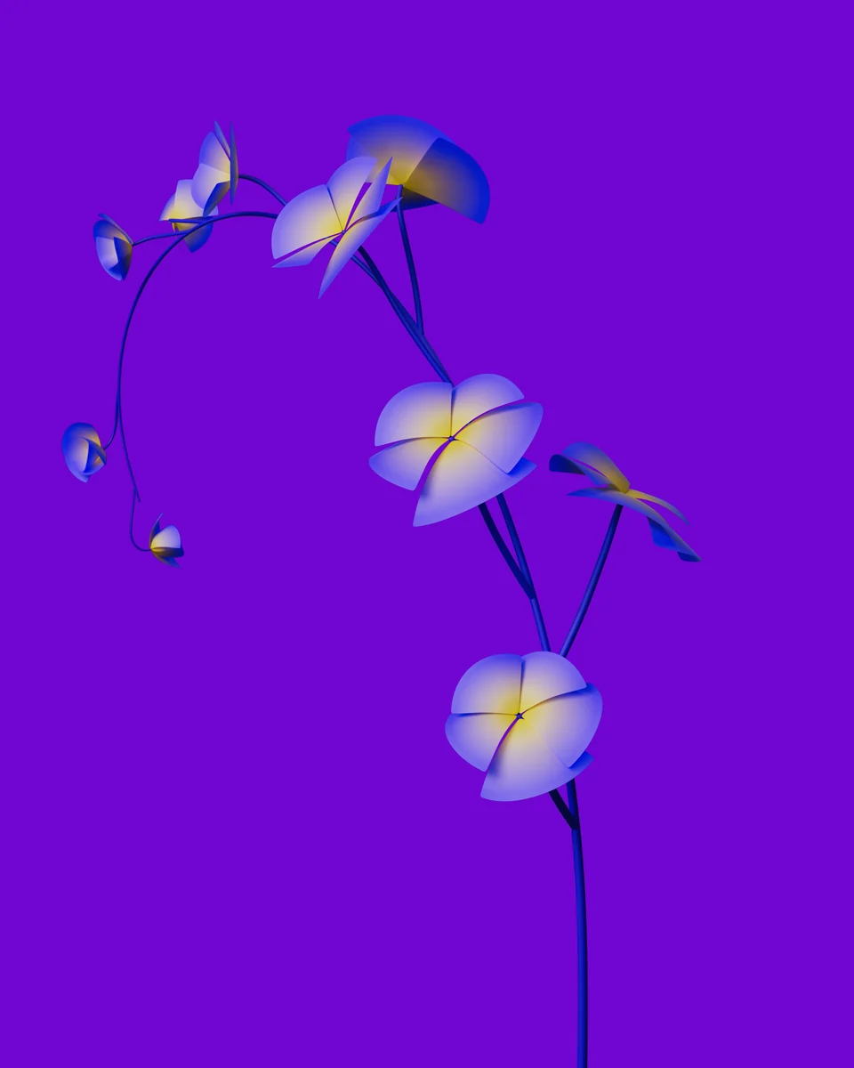 untitled-1.jpg
