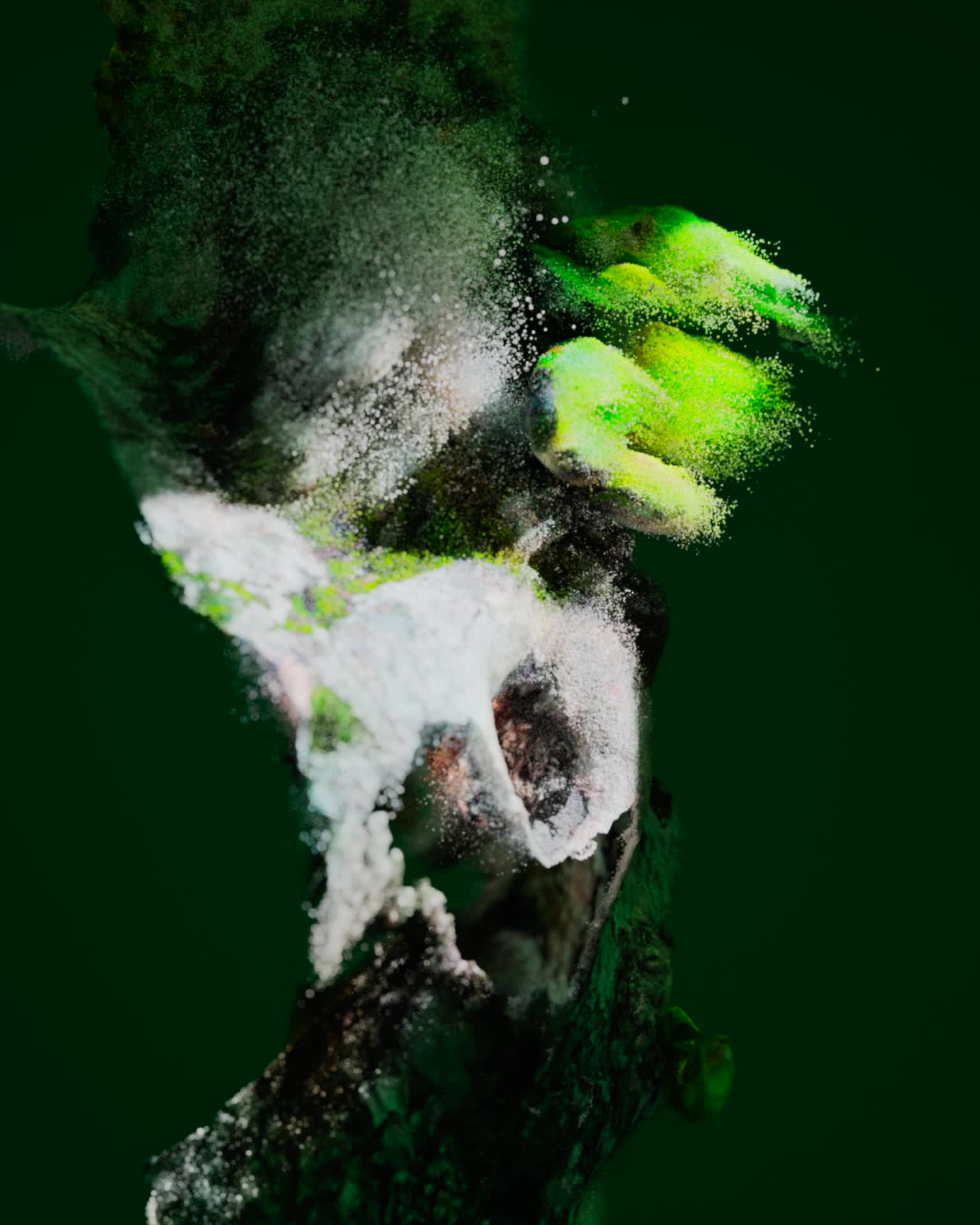 Echoes of a Space