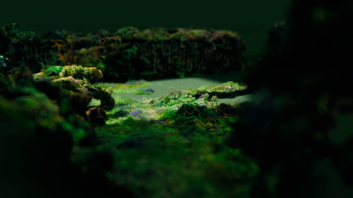 untitled-project5.jpg