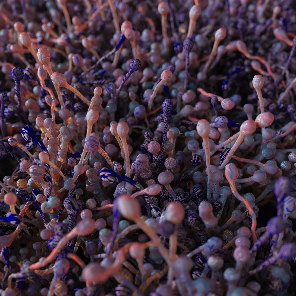 Shrooms-A18-0002_Still_0002_2_0484.jpg