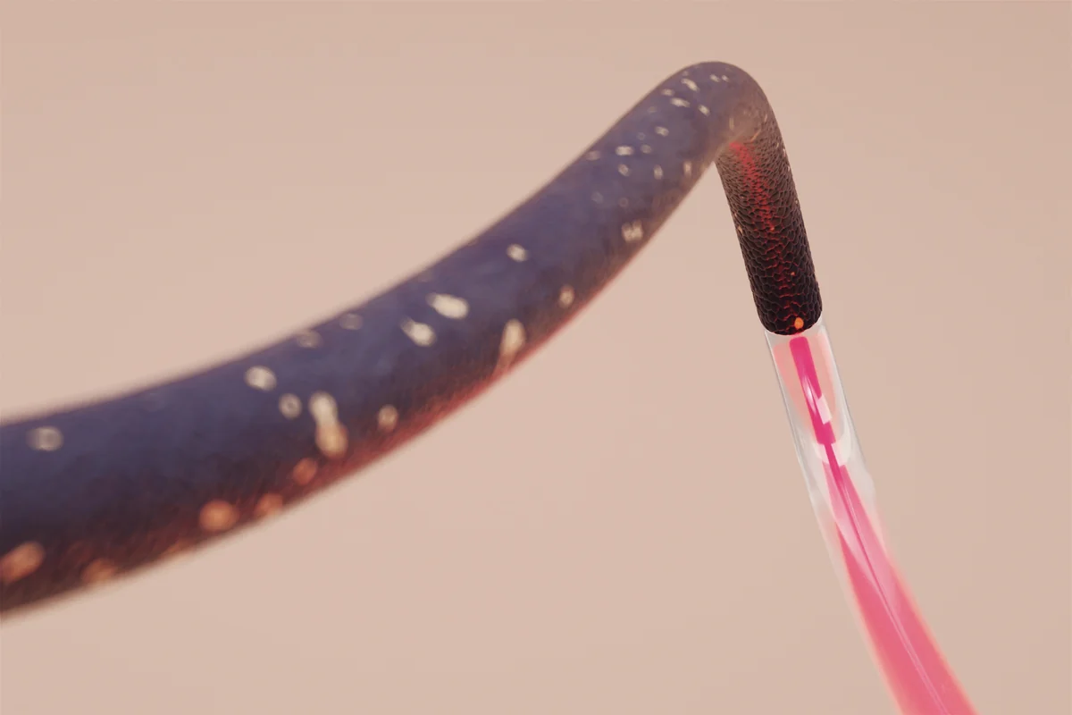 Spline-Stills_00003.jpeg