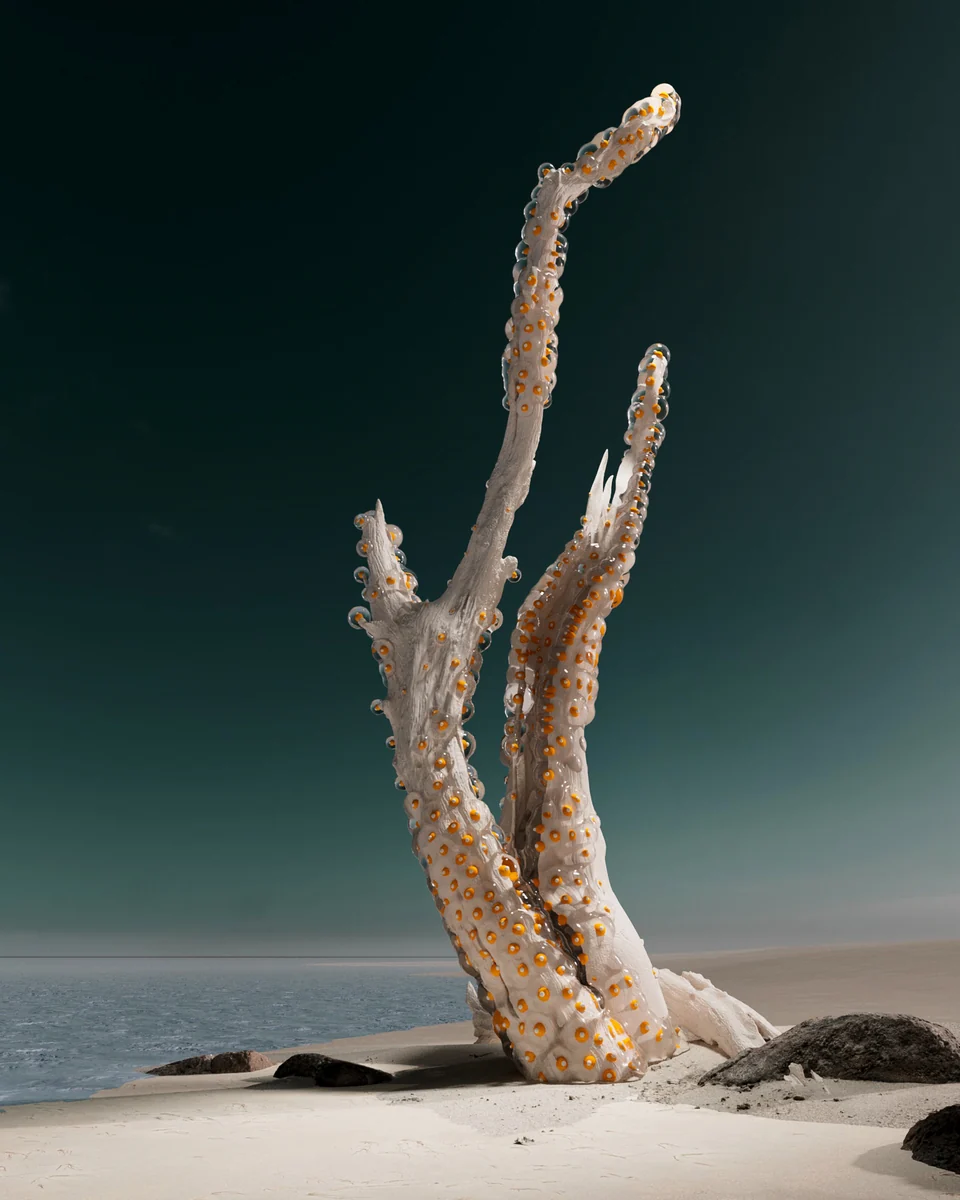 bif_beach_jk_v006.jpg