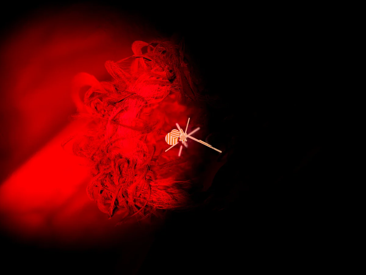 bif_dev_nest_space_station_jk_v019_red_channel_still-redshift_rop1-0090.jpg