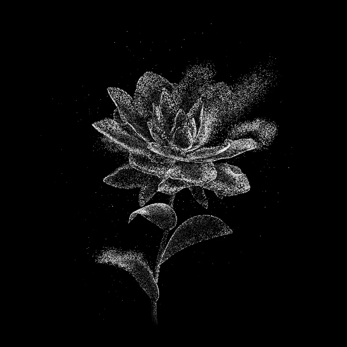 Superbloom_PROD_Stills_V007_DW_8K.Dahlia.0001.jpg