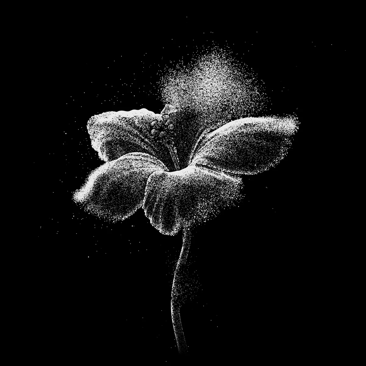 Superbloom_PROD_Stills_V007_DW_8K.Hibiscus.0001.jpg
