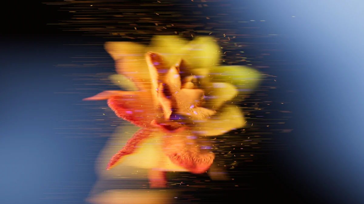 Superbloom_DEV_PhaseIV_V016_JK_StillB.jpg