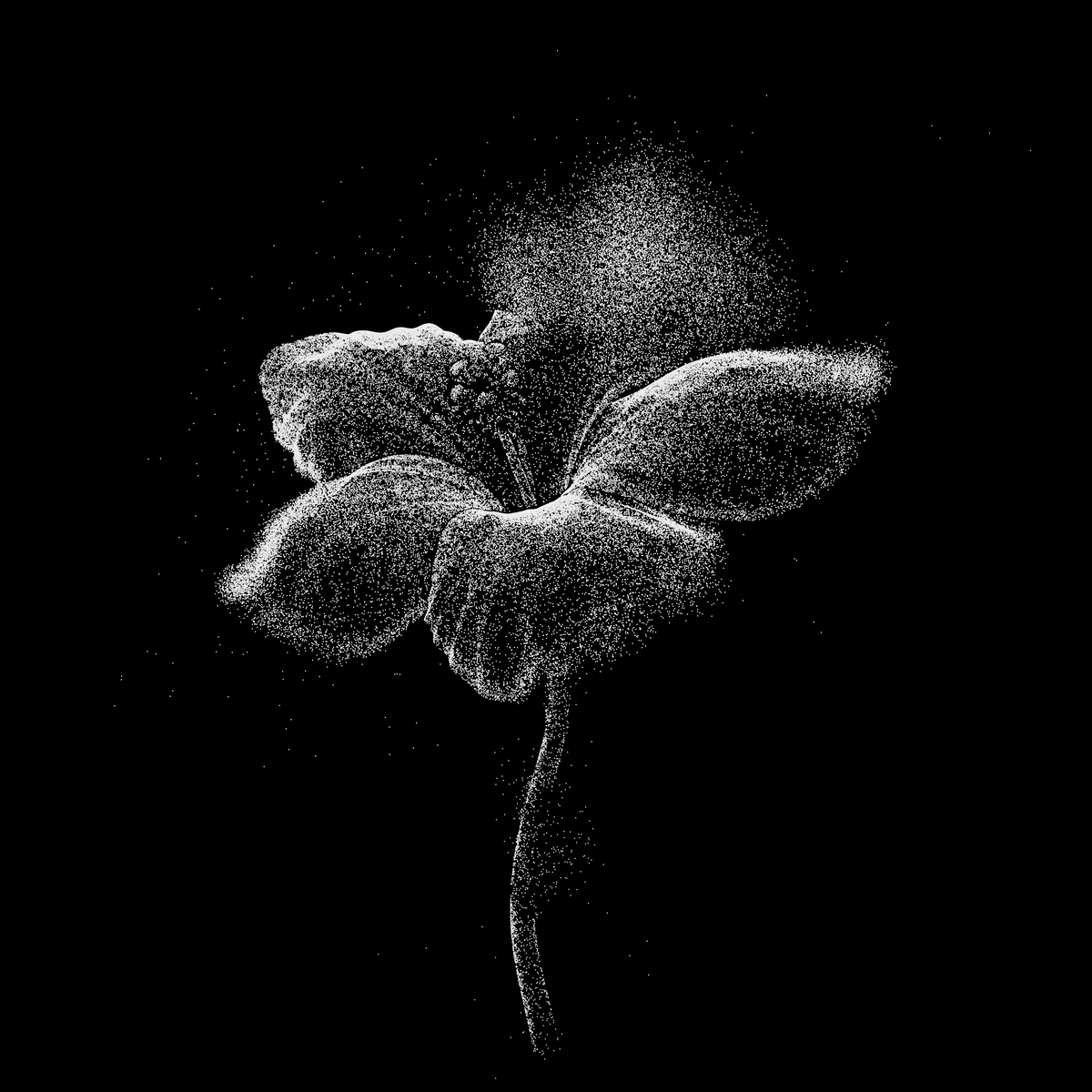 Superbloom_PROD_Stills_V008_DW_equalPscale.Hibiscus.0001.jpg
