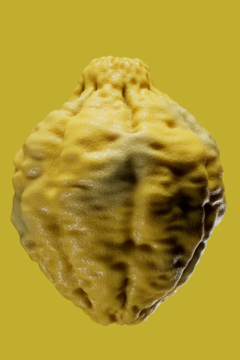 catk_food_citrus_v001_sw0051.jpg