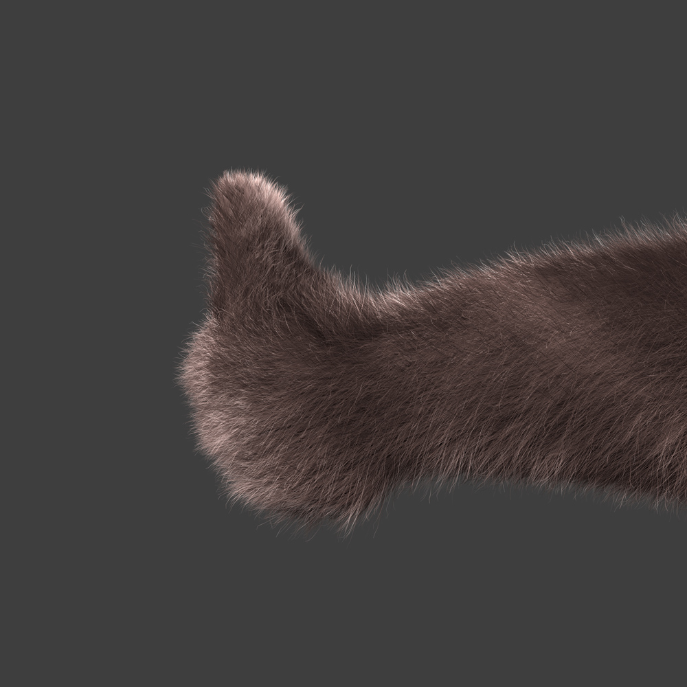 catk-note-100624-190800-0011.jpg