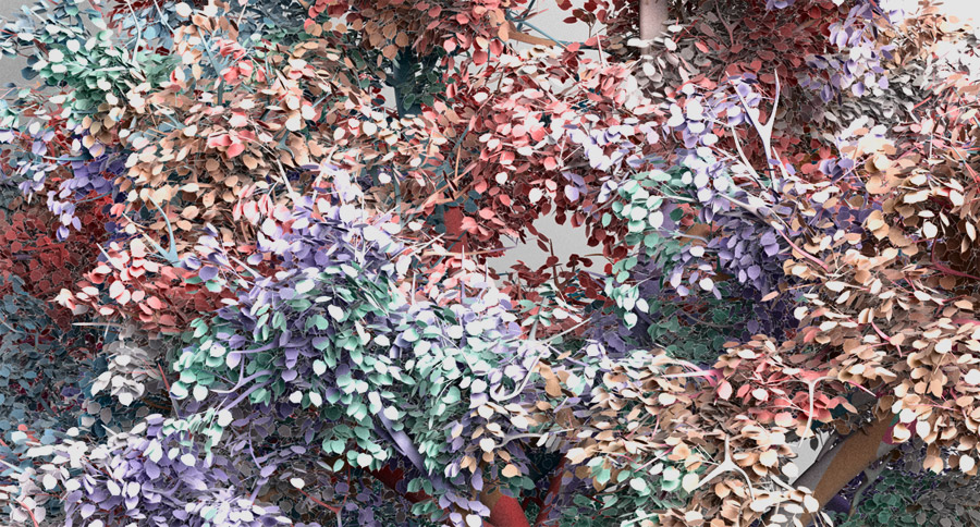 catk-note-110905-000000-0082.jpg