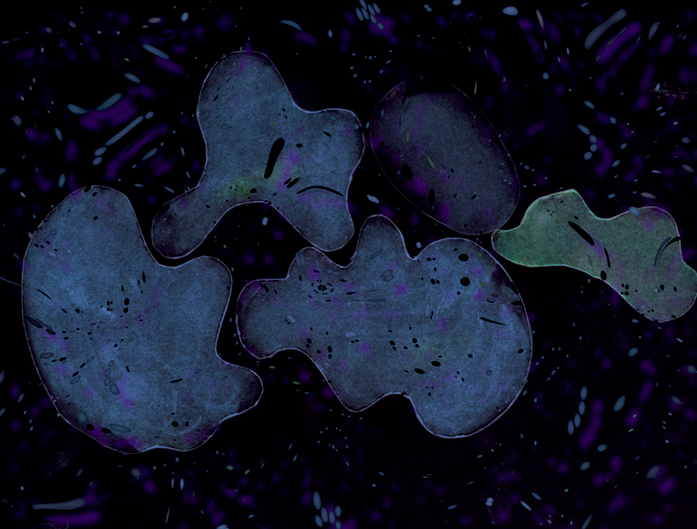 catk-note-141017-184700-0212.jpg