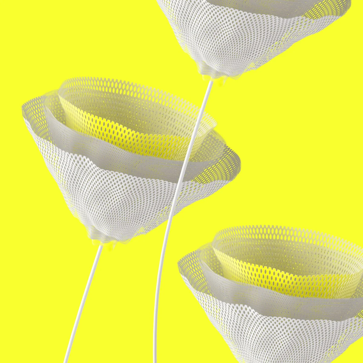 catk-tgc-all-yellow.jpg